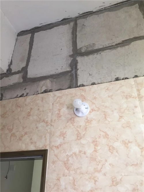 廈門(mén)加氣混凝土砌塊設(shè)備與鋁單板行業(yè) 聚焦特占公司的多元發(fā)展